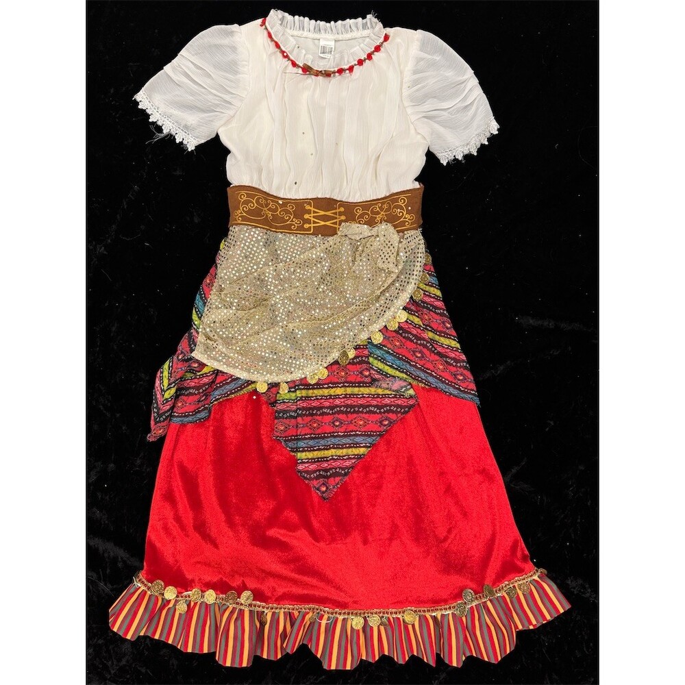 Goodmark Girls Gypsy Fortune Teller Costume Dress Multicolor Size L 10-12